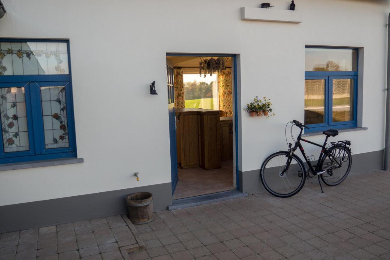 Vakantiewoning De Wilg - Rustig Gelegen Geraardsbergen Exterior foto